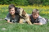 ENFANT ET CHIEN 195
